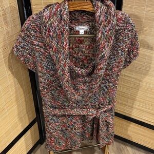 Decree Multicolor Cowl Neck Short-Sleeve Sweater